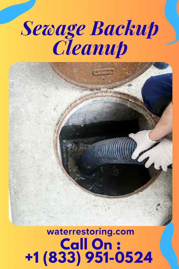 Sewage Backup Cleanup in Titusville, FL